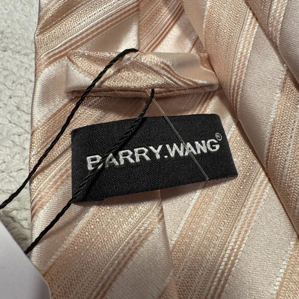 Barry Wang Tie Beige Gold Diagonal Stripe 100% Silk Italy Preppy NWT Business